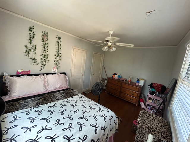 Image gallery image